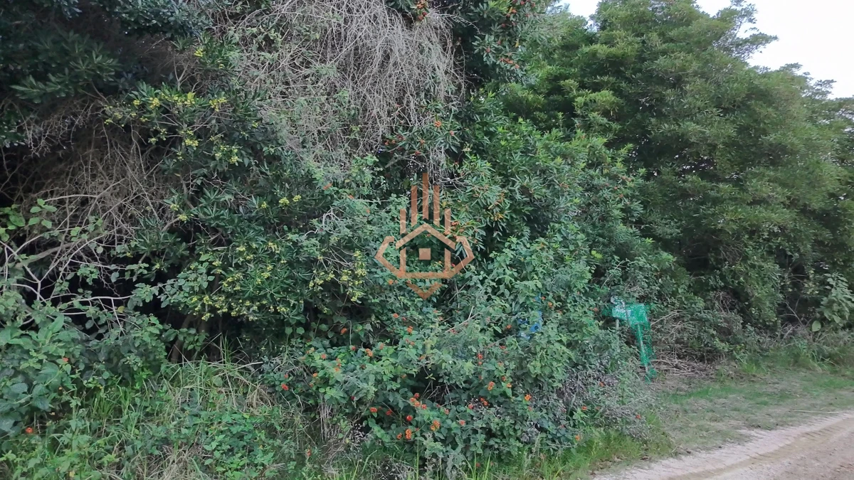 Terreno en venta en Las Grutas - Amplio con potencial de vista al mar