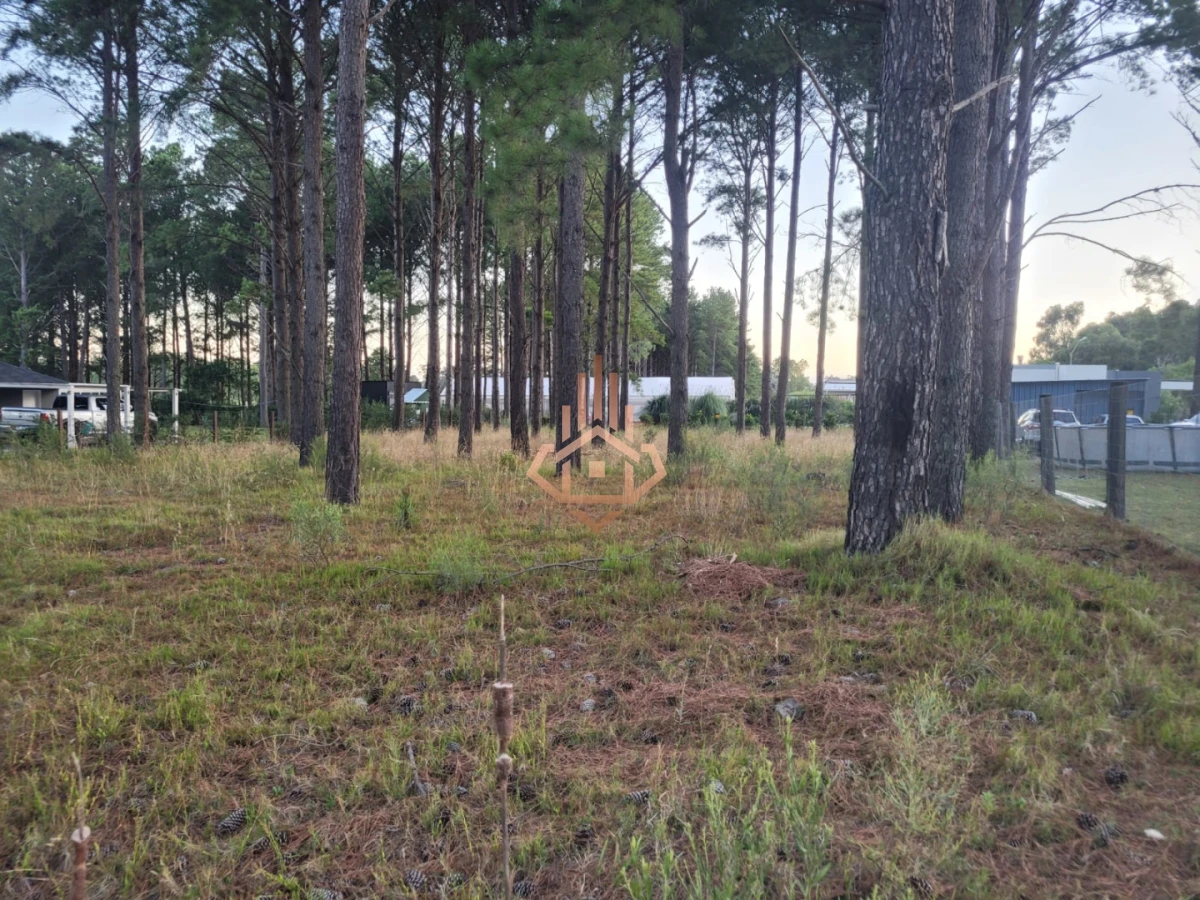 Terreno en venta en Chacras del Pinar excelente ubicación y metros de frente