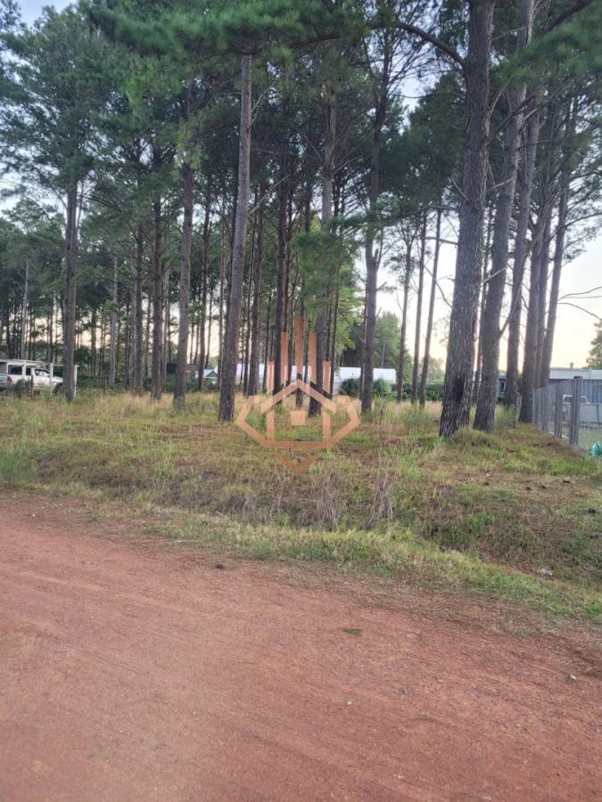 Terreno en venta en Chacras del Pinar excelente ubicación y metros de frente