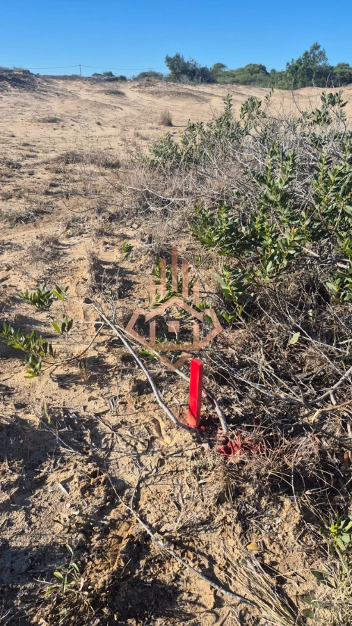 Venta de 4 terrenos en Puimayen Barra del Chuy . Una cuadra de la playa