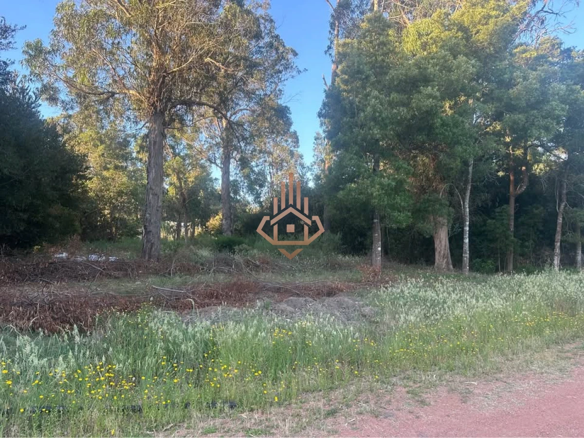 Terreno en Ocean Park