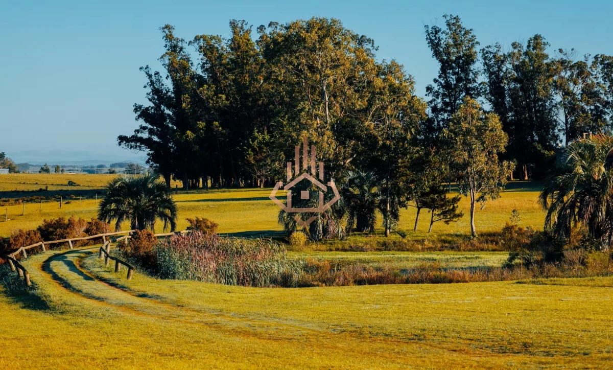 La Morenita - José Ignacio