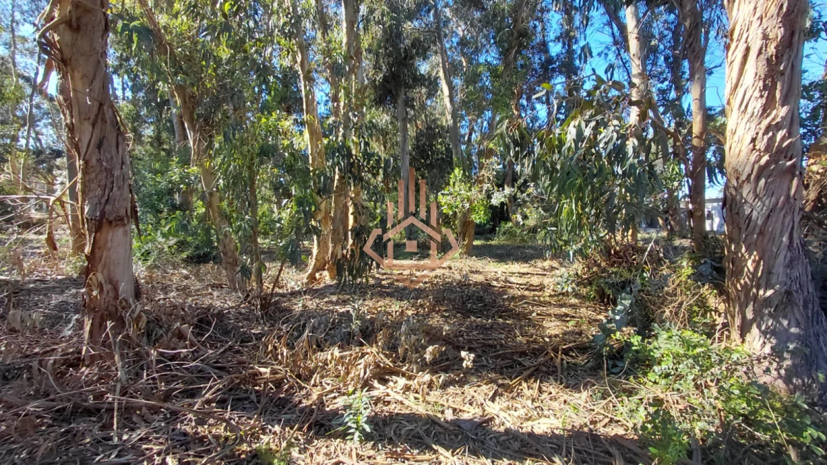 Venta Terreno en Ocean Park! - Foto 1