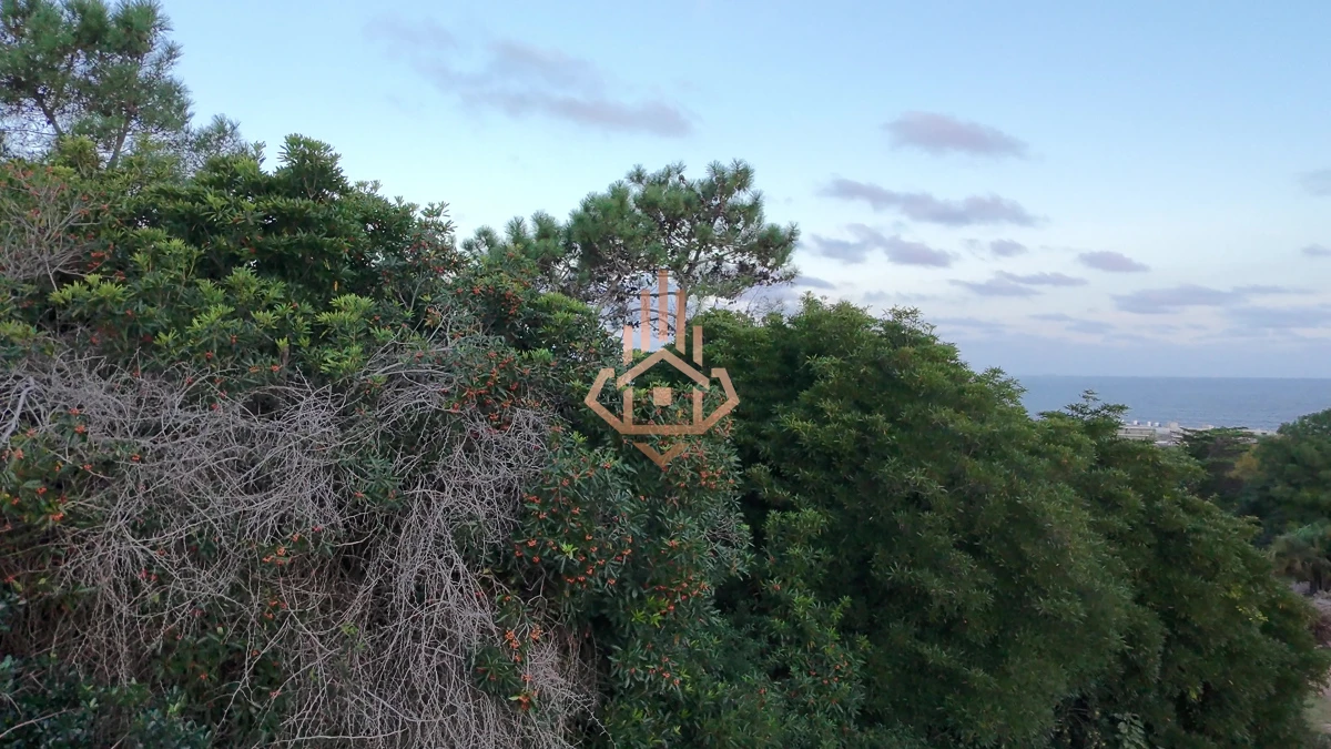 Terreno en venta en Las Grutas - Amplio con potencial de vista al mar