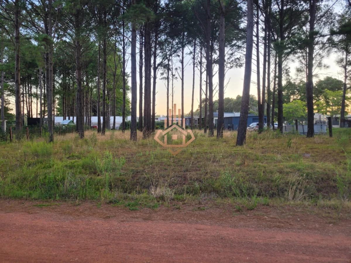 Terreno en venta en Chacras del Pinar excelente ubicación y metros de frente