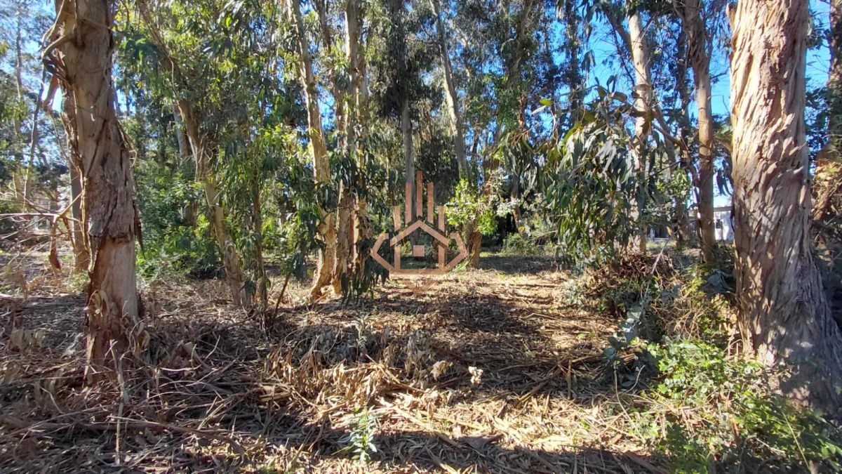 Venta Terreno en Ocean Park! - Foto 4