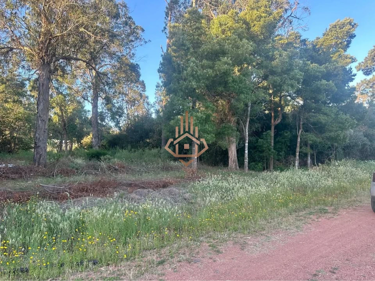 Terreno en Ocean Park