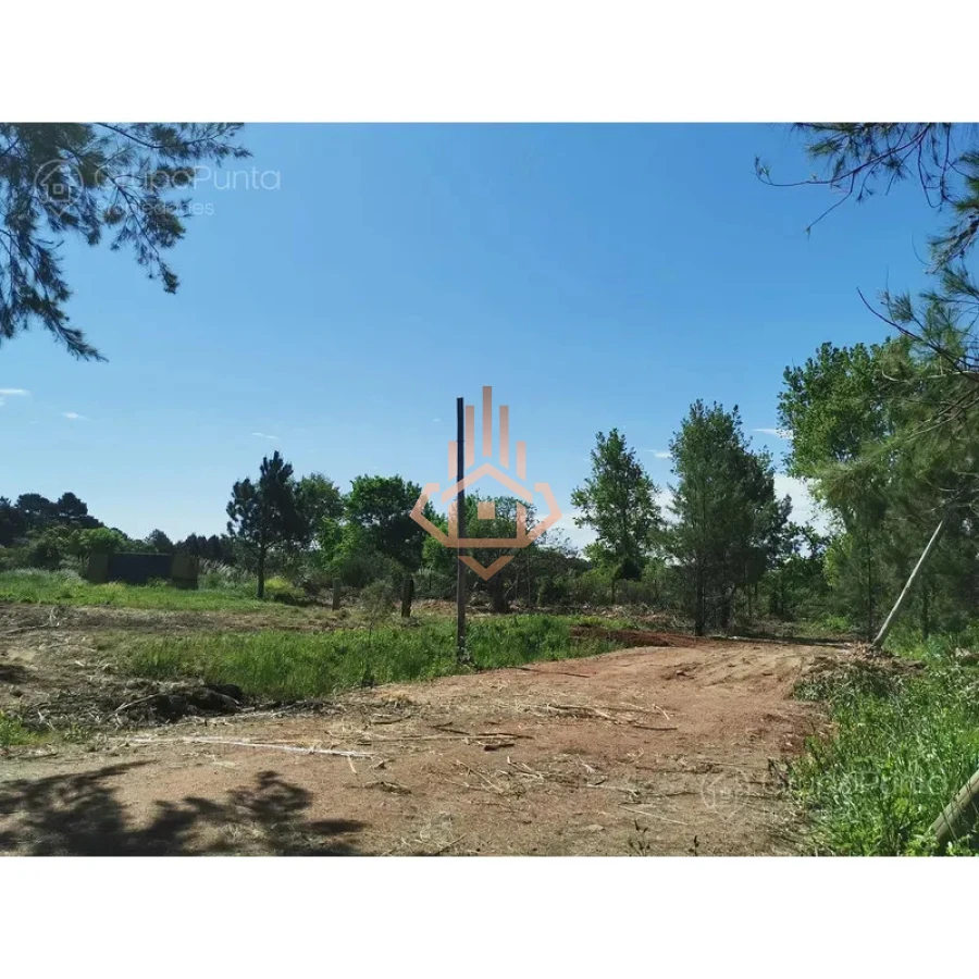 Terreno en laguna del diario