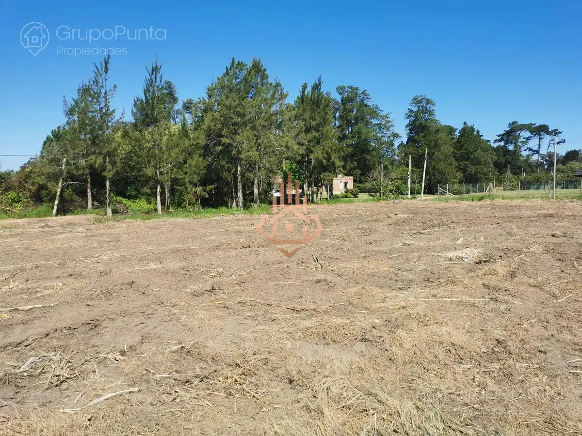 Terreno en laguna del diario
