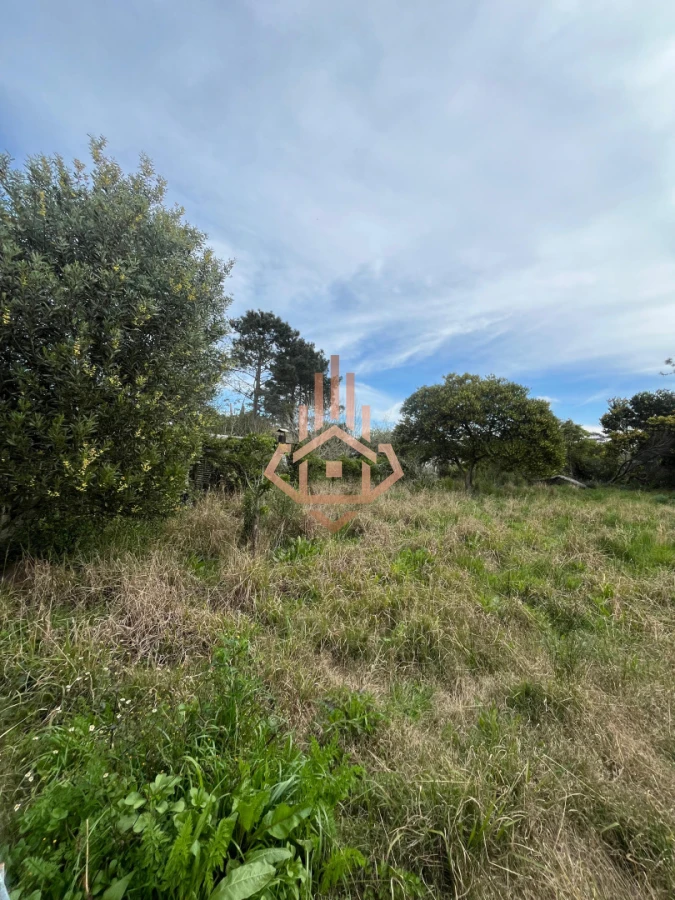 Terreno en Venta en Ocean Park - Foto 4