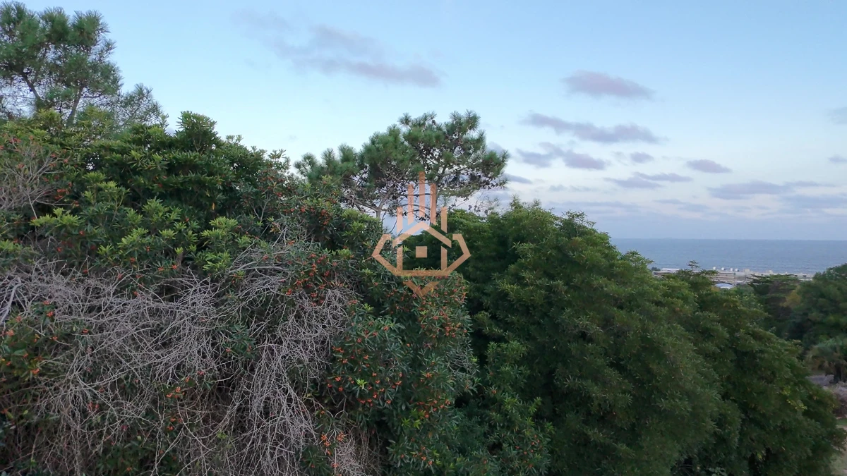 Terreno en venta en Las Grutas - Amplio con potencial de vista al mar