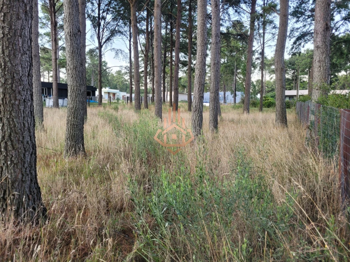 Terreno en venta en Chacras del Pinar excelente ubicación y metros de frente