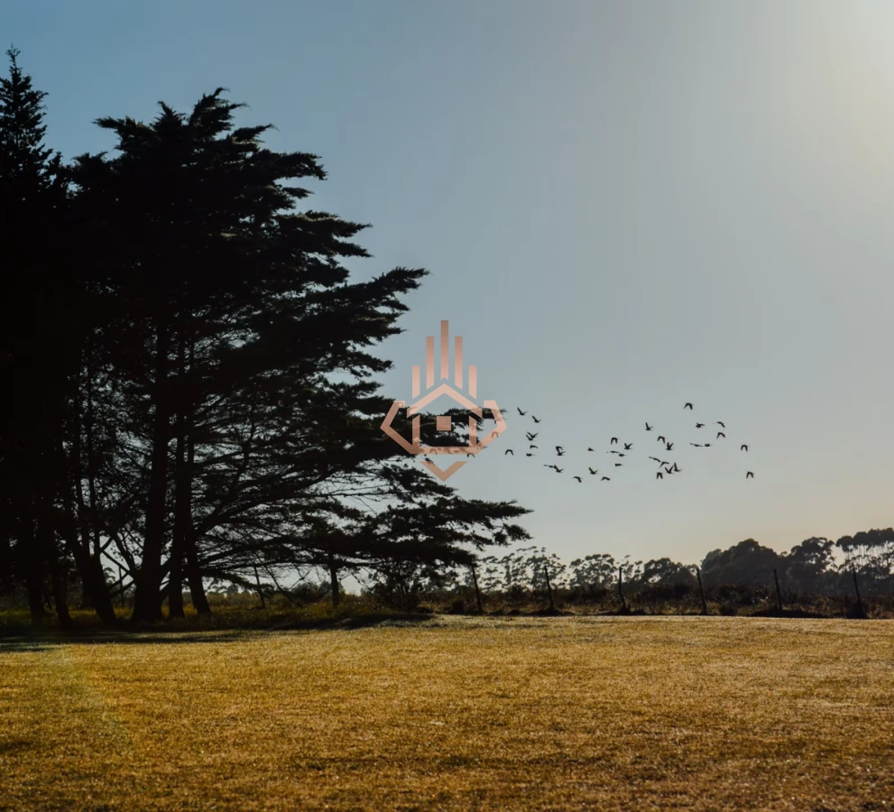 La Morenita - José Ignacio