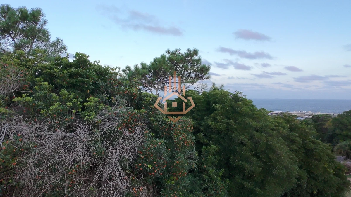 Terreno en venta en Las Grutas - Amplio con potencial de vista al mar