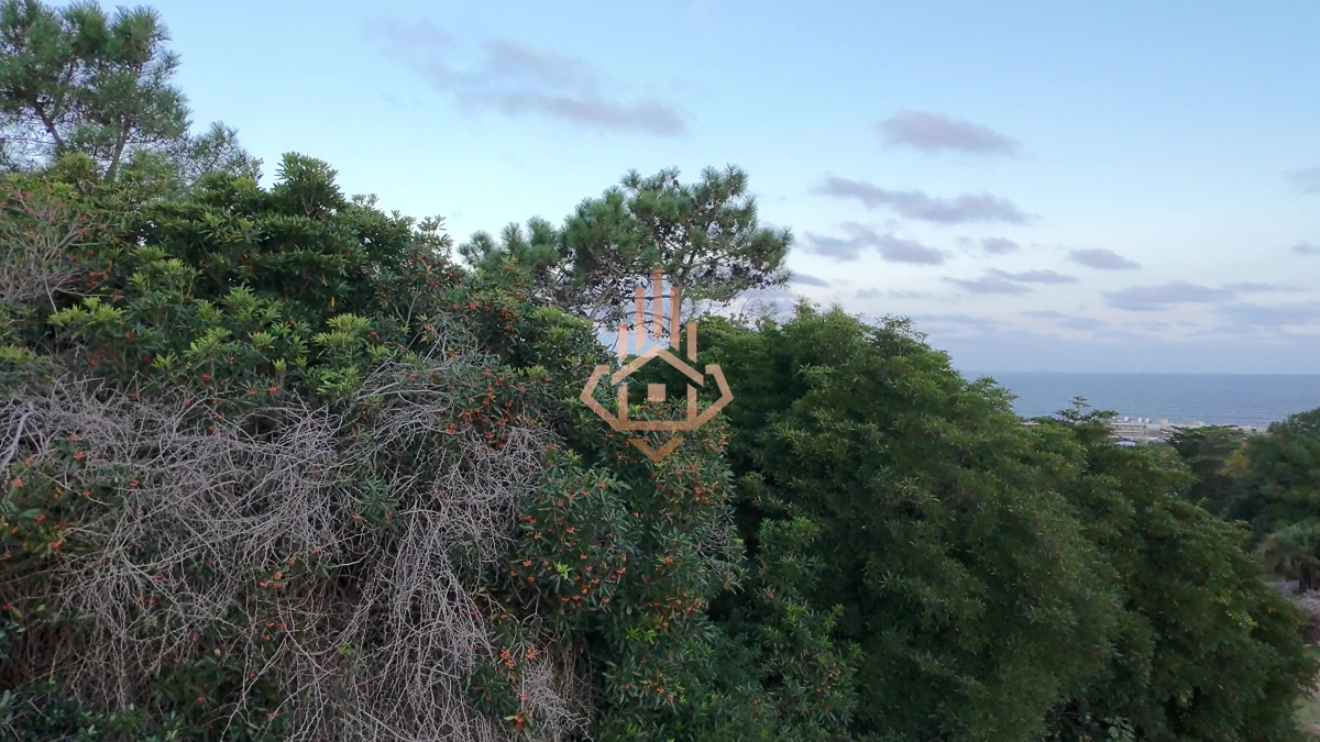 Terreno en venta en Las Grutas - Amplio con potencial de vista al mar