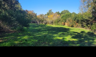 Terreno en venta en El Pejerrey ? 4.304 m² Gran Potencial