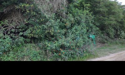 Terreno en venta en Las Grutas ? Amplio con potencial de vista al mar