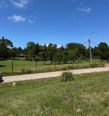 Venta de Espectacular terreno en la zona exclusiva de Golf en Punta del Este
