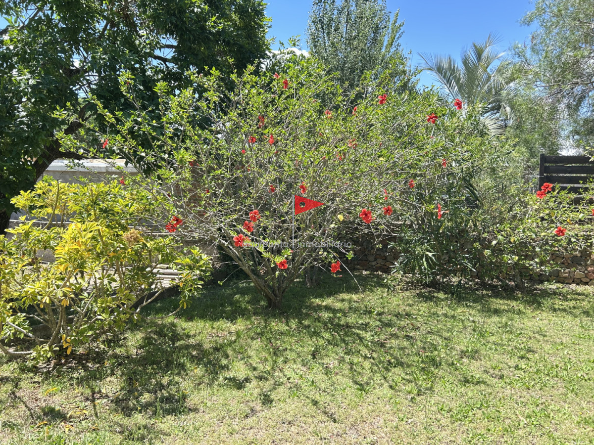 Casa ID.102 - Alquiler temporal casa 3 dormitorios Punta colorada vista playa mansa