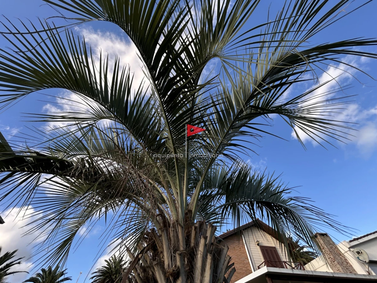 Casa ID.255 - Venta cabaña madera en Punta fría 2 dorm 2 baños excelente vista mar