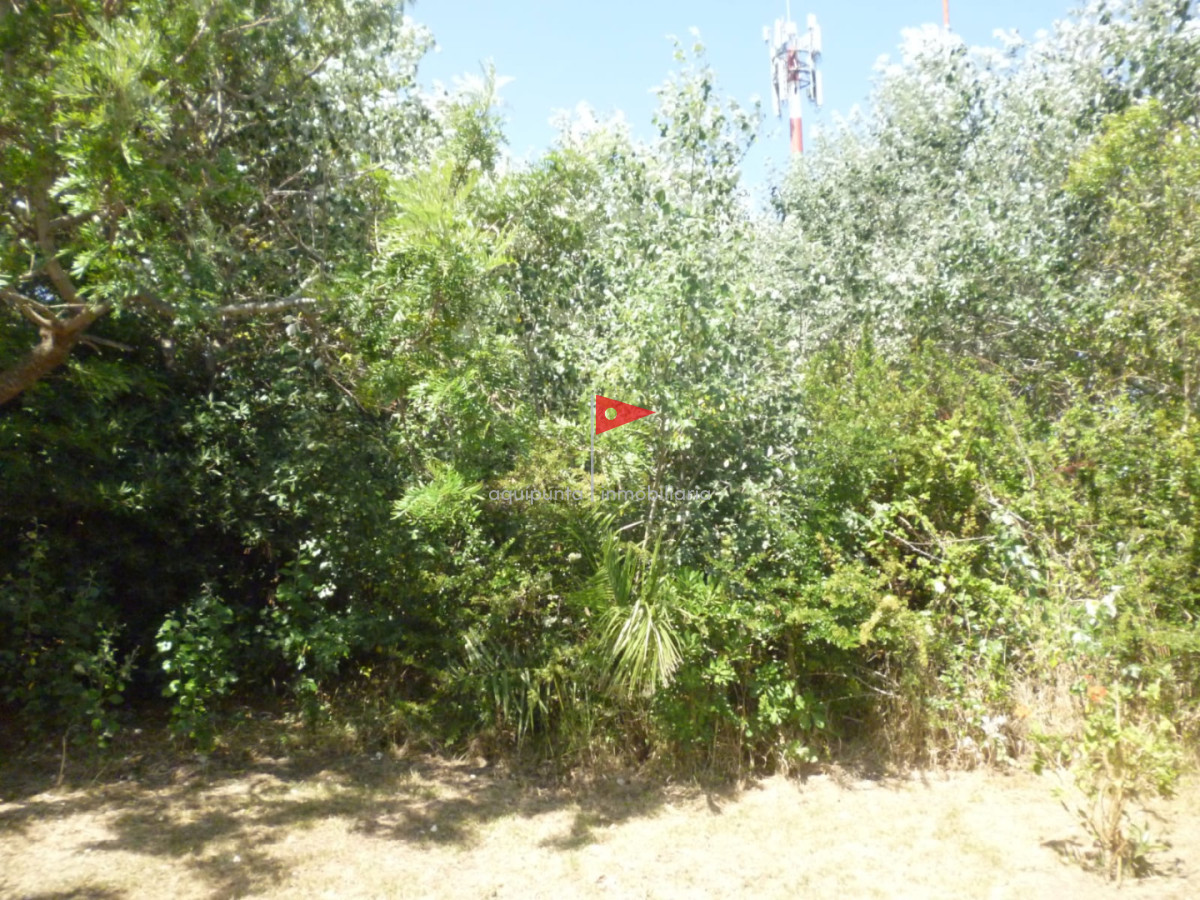 Casa ID.75 - Casa en alquiler temporal en Punta Colorada 3 dormitorios 2 baños muy cómoda y con sombra natural 