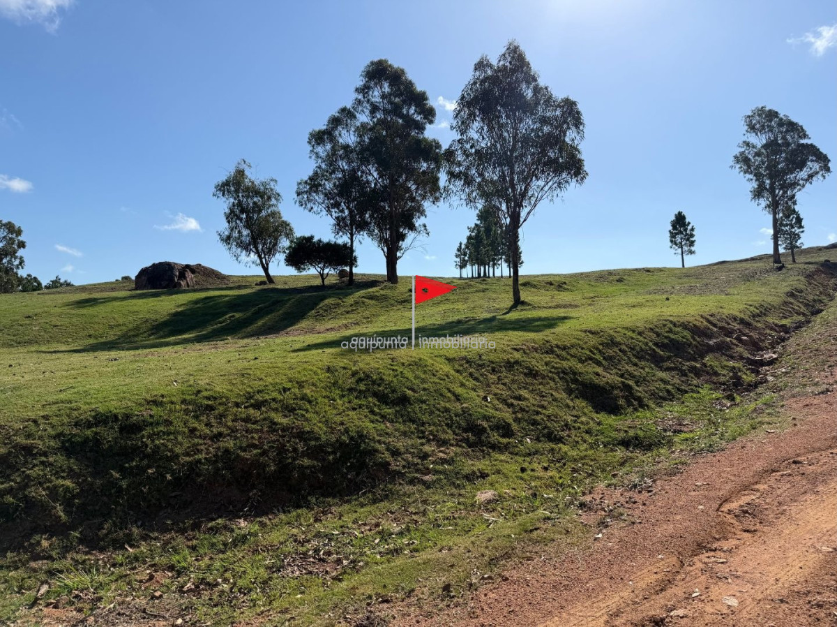 Chacra ID.128 - Chacra con tajamar y vista al mar Piriapolis (2)