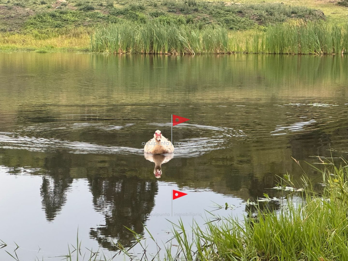 Chacra ID.128 - Chacra con tajamar y vista al mar Piriapolis (2)