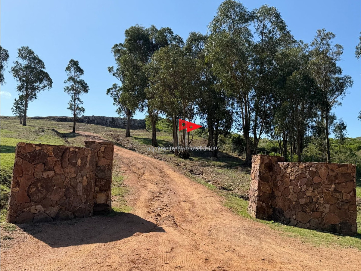 Chacra ID.128 - Chacra con tajamar y vista al mar Piriapolis (2)