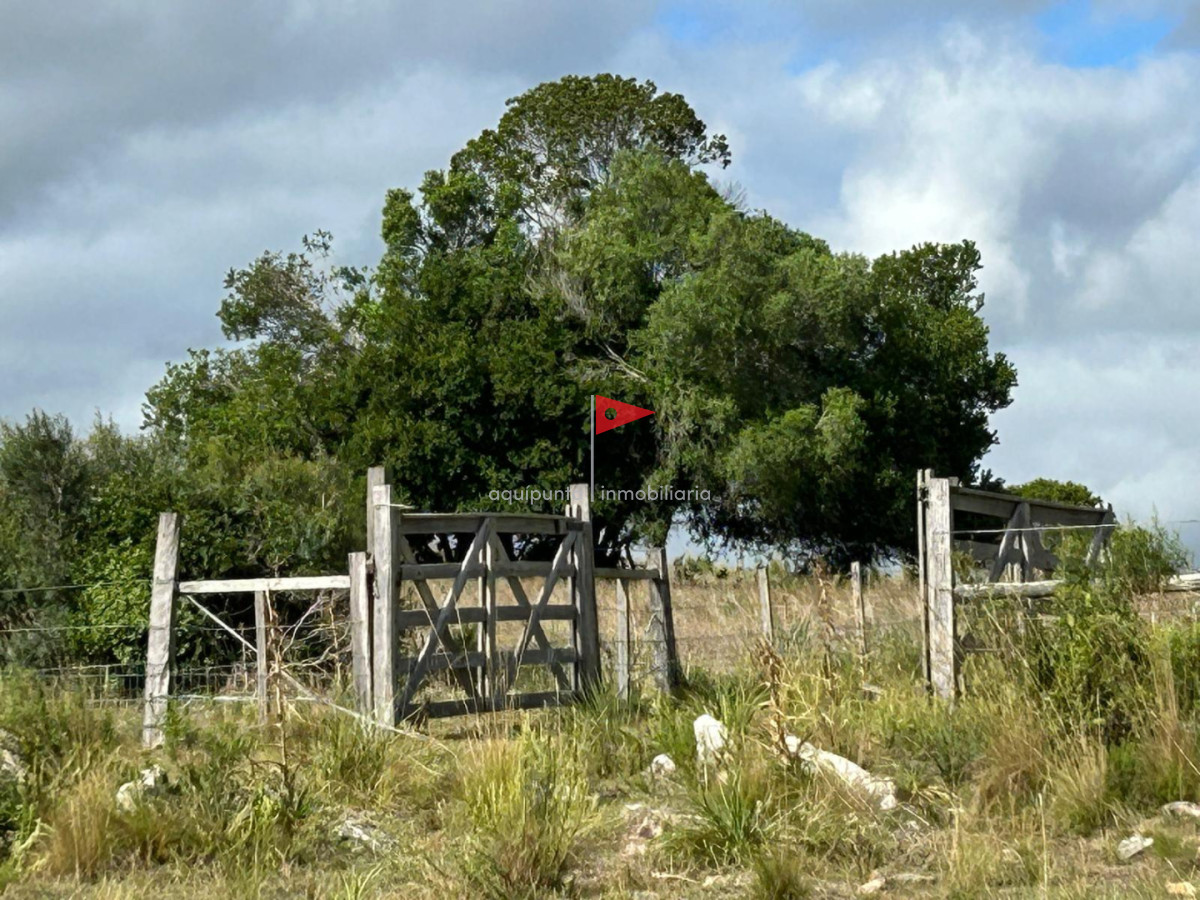 Chacra ID.279 - Venta hermosa Chacra Minas con casa y galpón 