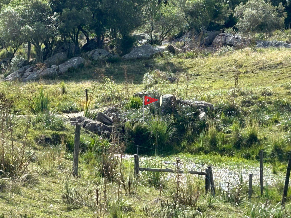 Chacra ID.279 - Venta hermosa Chacra Minas con casa y galpón 
