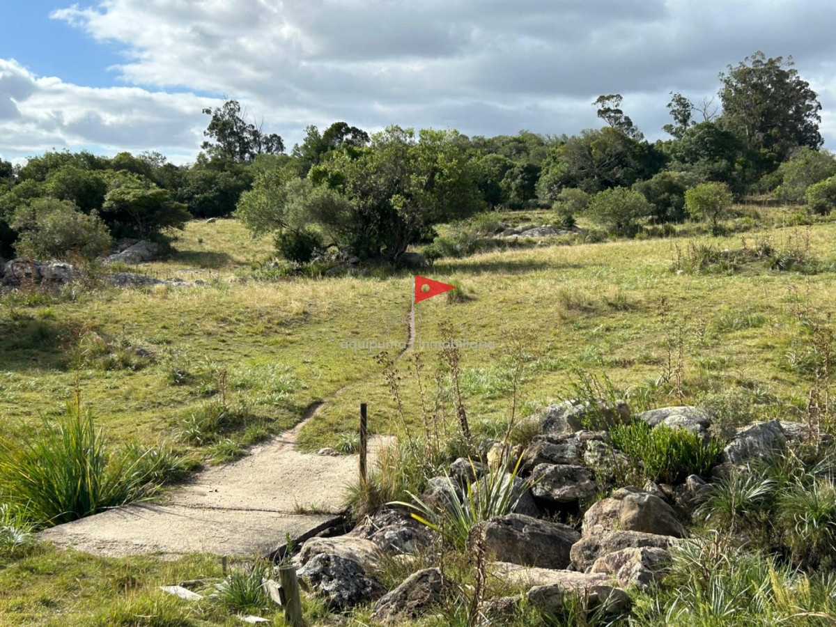 Chacra ID.279 - Venta hermosa Chacra Minas con casa y galpón 