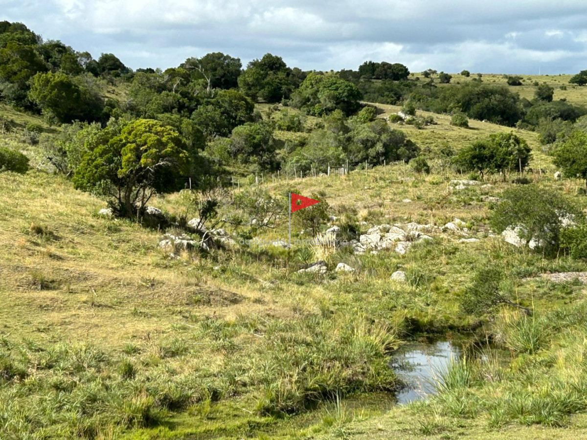 Chacra ID.279 - Venta hermosa Chacra Minas con casa y galpón 