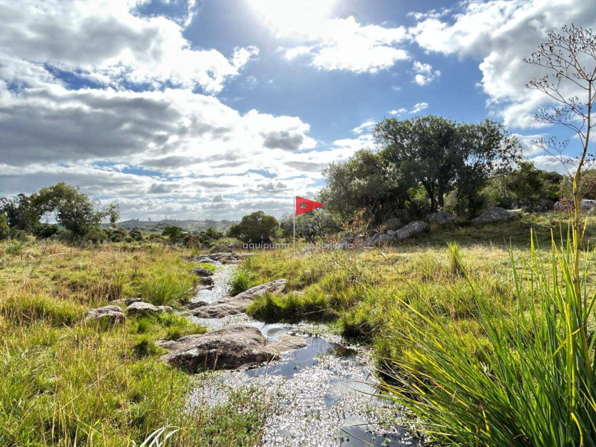 Chacra ID.279 - Venta hermosa Chacra Minas con casa y galpón 