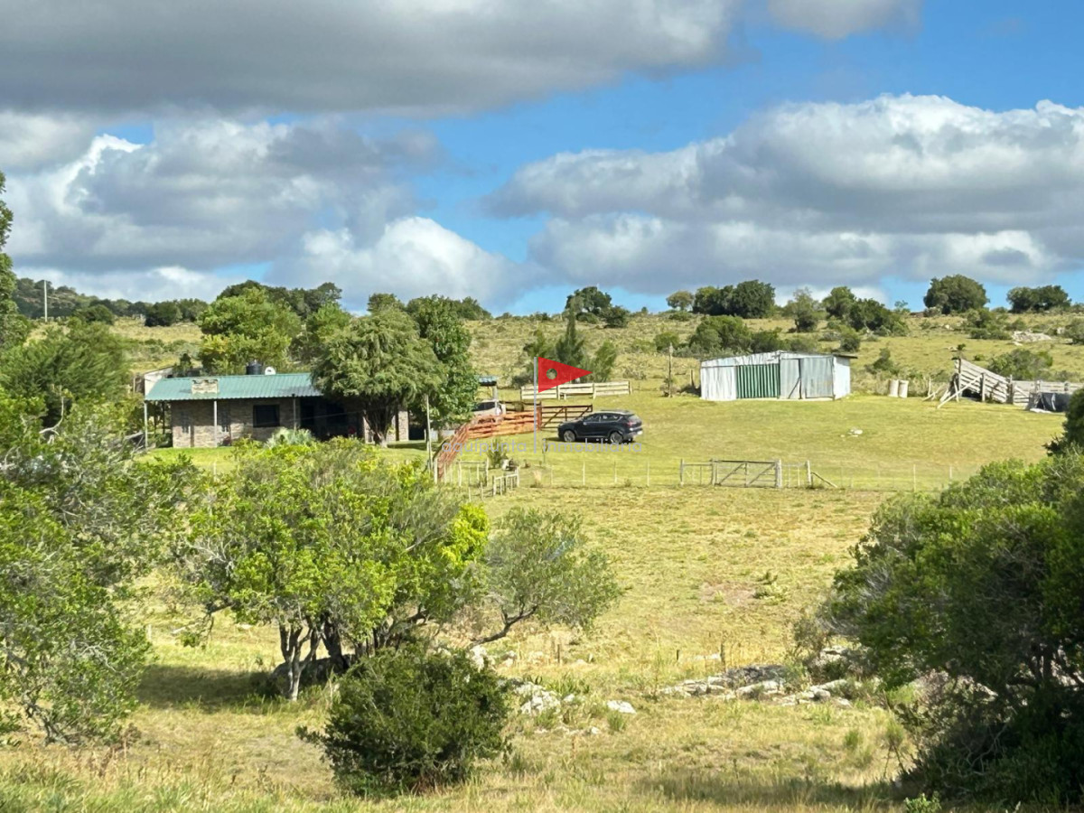 Chacra ID.279 - Venta hermosa Chacra Minas con casa y galpón 