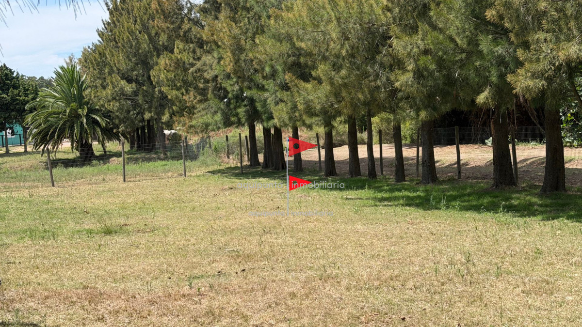 Terreno ID.131 - Terreno Piriápolis Pueblo Obrero (4)