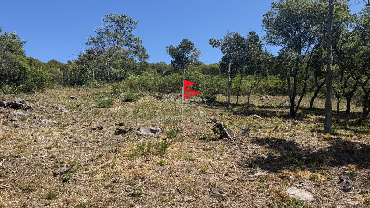 Terreno ID.172 - Lote en Venta en Cerro San Antonio, Piriápolis