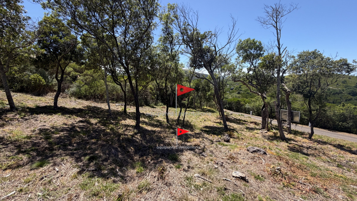 Terreno ID.172 - Lote en Venta en Cerro San Antonio, Piriápolis