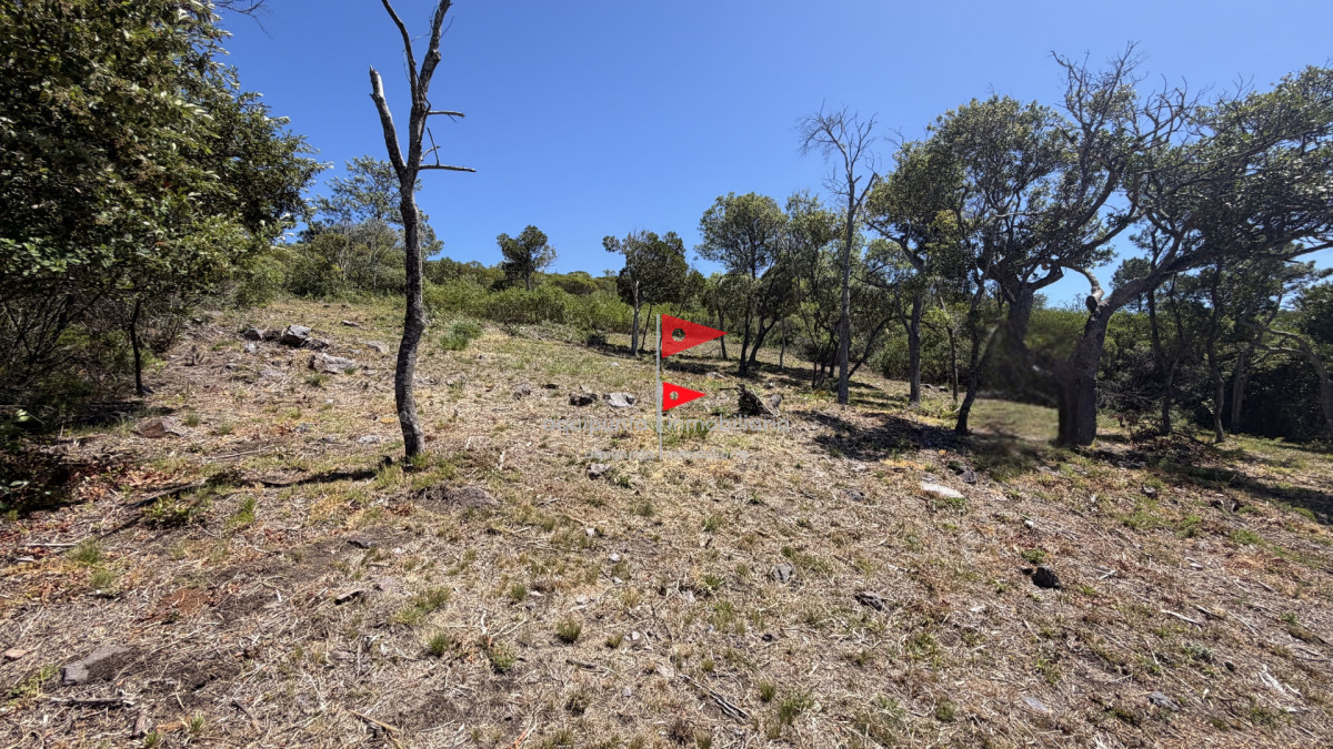 Terreno ID.172 - Lote en Venta en Cerro San Antonio, Piriápolis