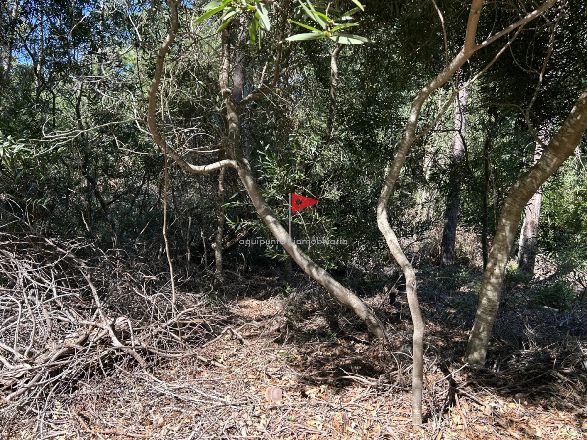 Terreno ID.233 - Venta terreno Punta colorada oportunidad