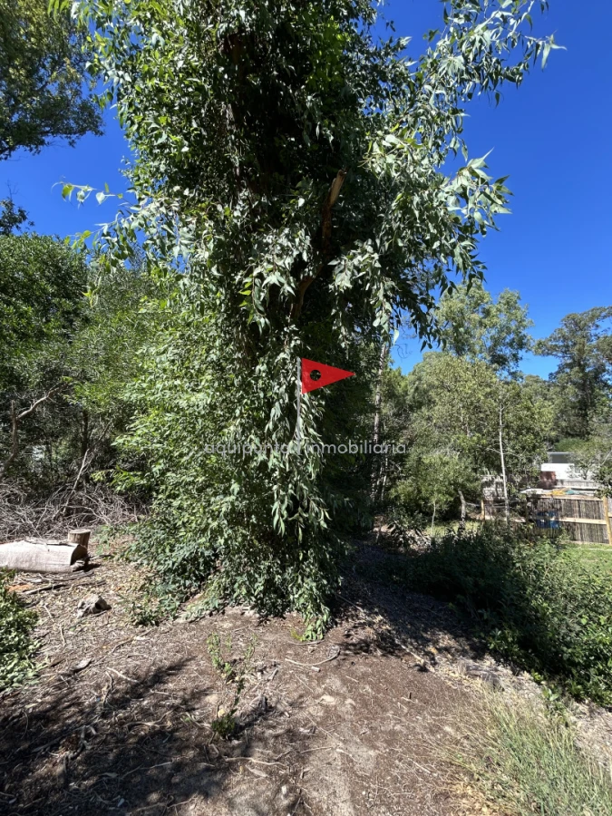 Terreno ID.233 - Venta terreno Punta colorada oportunidad