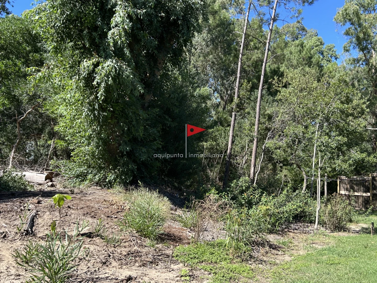 Terreno ID.233 - Venta terreno Punta colorada oportunidad