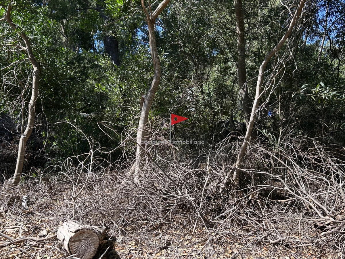 Terreno ID.233 - Venta terreno Punta colorada oportunidad