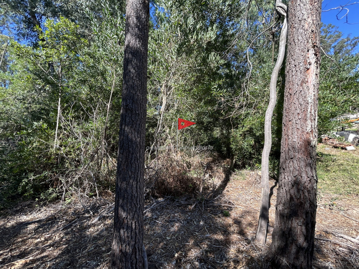 Terreno ID.233 - Venta terreno Punta colorada oportunidad