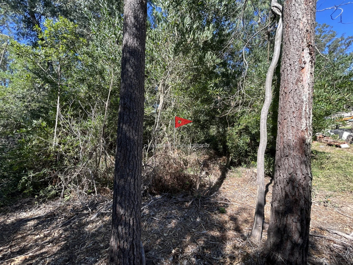 Terreno ID.233 - Venta terreno Punta colorada oportunidad