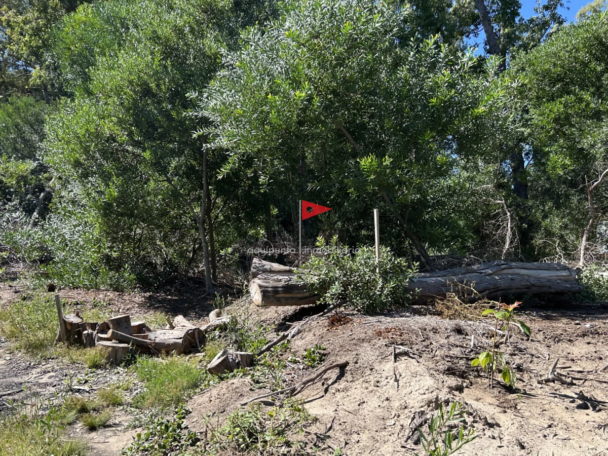 Terreno ID.233 - Venta terreno Punta colorada oportunidad