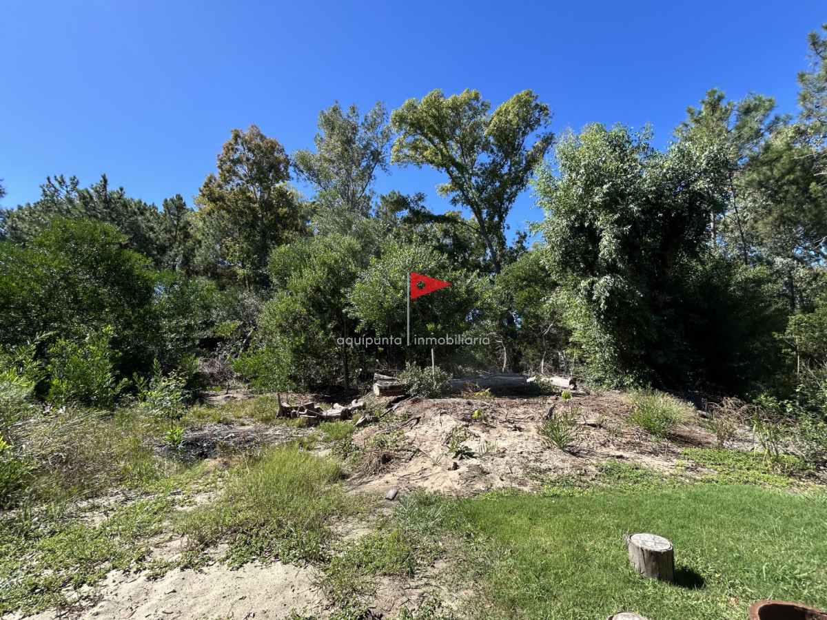 Terreno ID.233 - Venta terreno Punta colorada oportunidad