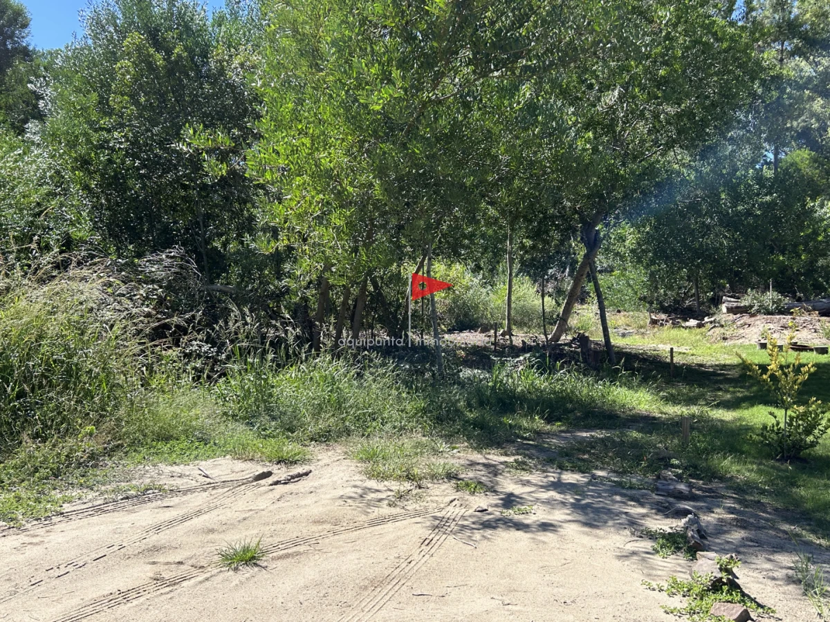 Terreno ID.233 - Venta terreno Punta colorada oportunidad