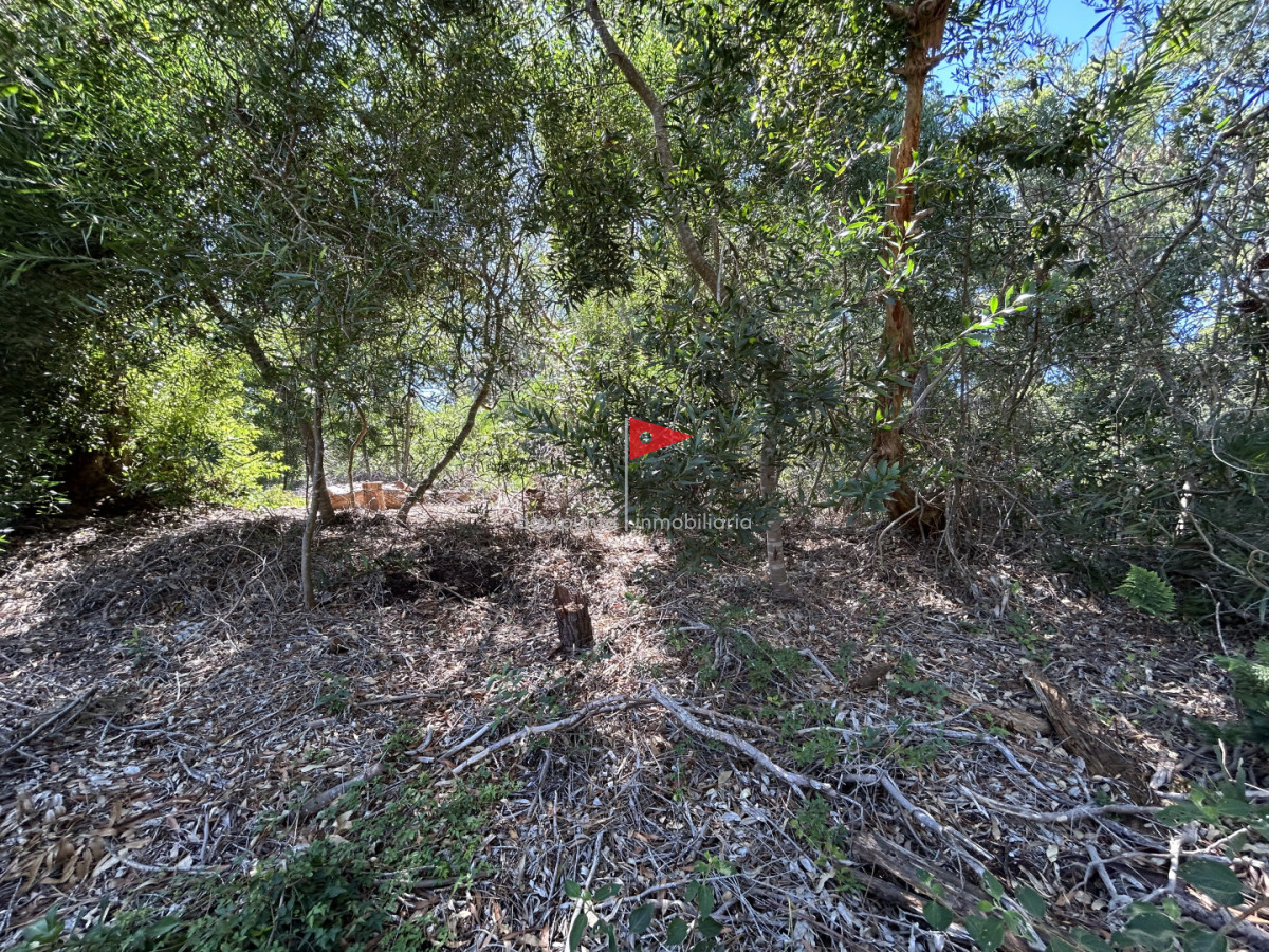 Terreno ID.233 - Venta terreno Punta colorada oportunidad