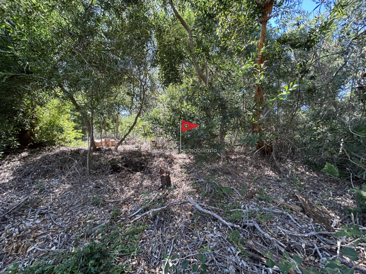 Terreno ID.233 - Venta terreno Punta colorada oportunidad