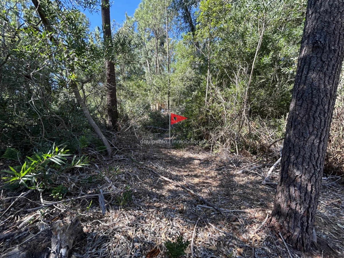 Terreno ID.233 - Venta terreno Punta colorada oportunidad